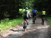 Trentino, un weekend in bici a Fai della Paganella tra boschi e sapori di montagna